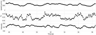 Order and density fluctuations near the boundary in sheared dense suspensions